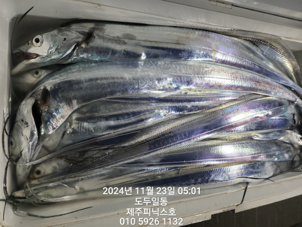KakaoTalk_20241123_072651528_04.jpg
