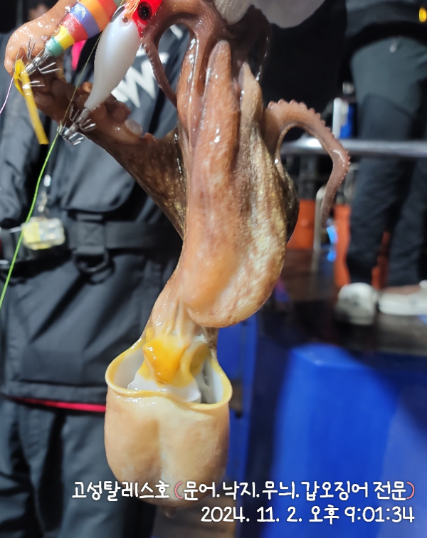 IMG_20241102_210134.jpg