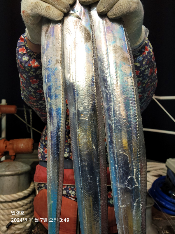 1730924702908-7.jpg