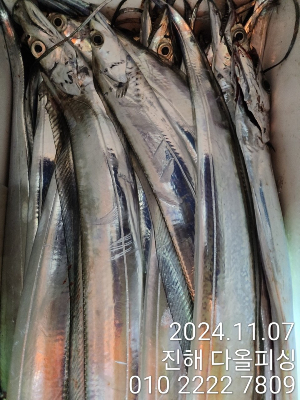 1000023645.jpg