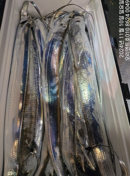 화면 캡처 2024-11-11 075701.jpg