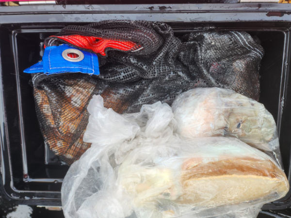 ■서산마린케이호☆광어 우럭 주꾸미 갑오징어 백조기 문어 감성돔 선상낚시_사진_20241125_19.jpg