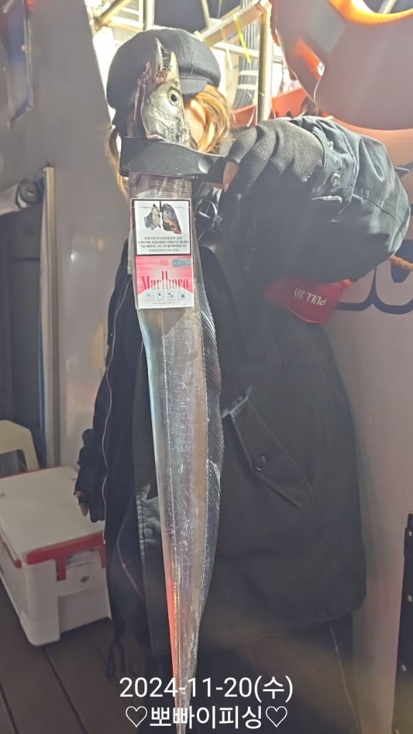 1732141840567-2.jpg