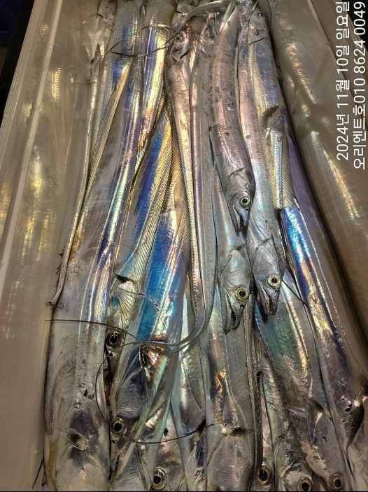 화면 캡처 2024-11-11 080438.jpg