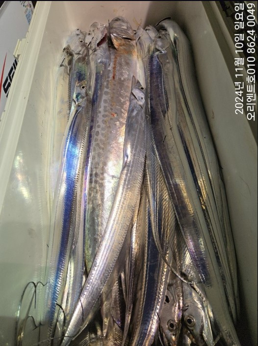 화면 캡처 2024-11-11 080015.jpg