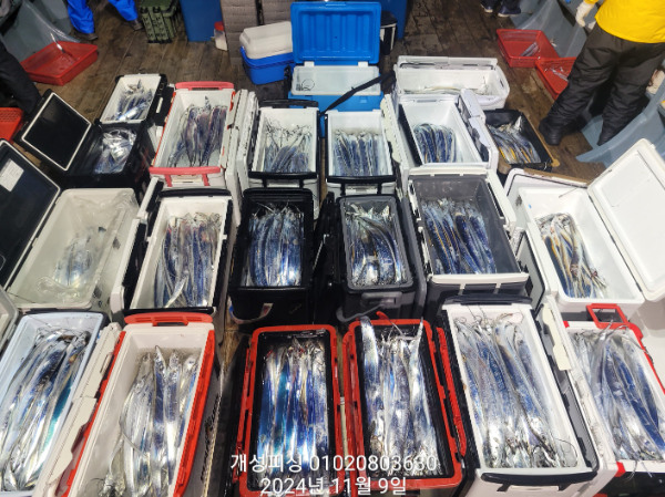 ef970798af61a9efa4303980df881e73.jpg
