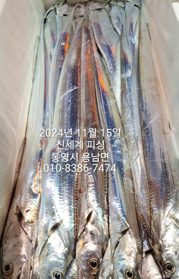 1731624114371.jpg