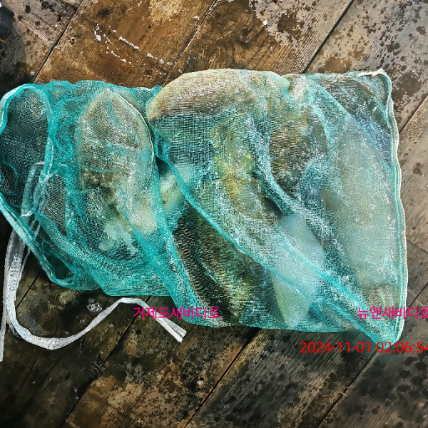f12fe8d58637507674c5d40e98dbf5e3.jpg