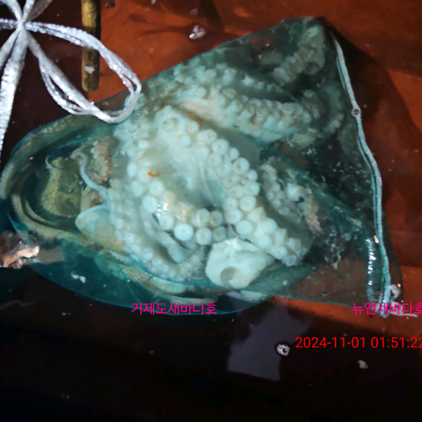 f133bee16d837cf0db250c13996fecb6.jpg