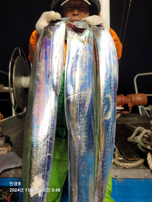 1730924702908-6.jpg