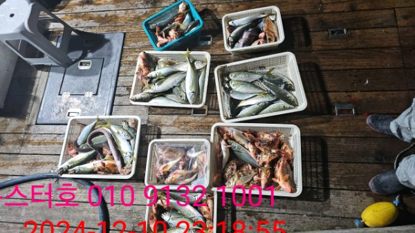 09bbbd5b7599611feca7199296d5cf87.jpg