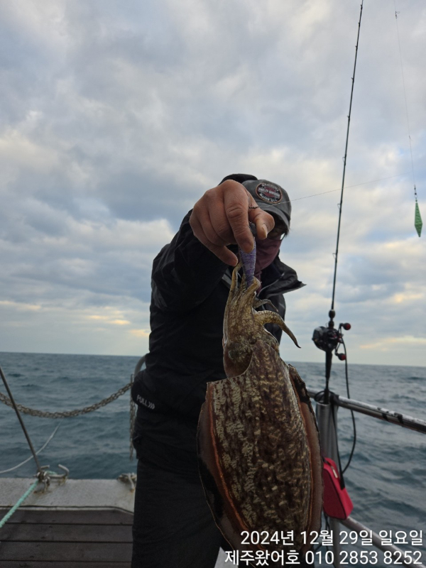 제주왔어호_사진_20241230_15.jpg