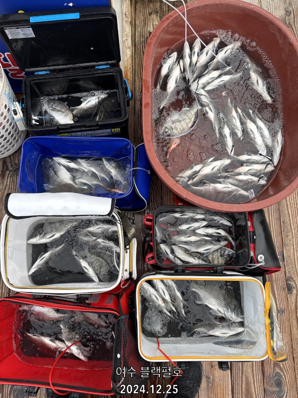 1735118112032-15.jpg