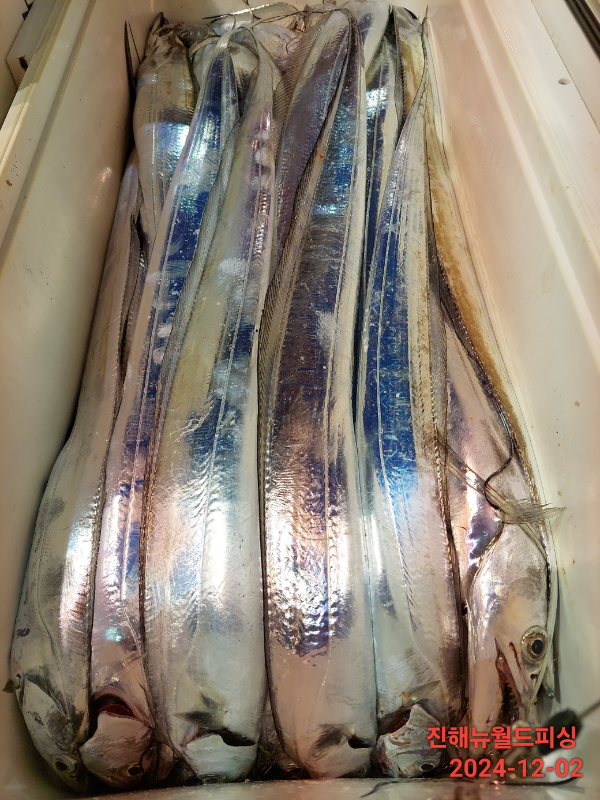 1733096207340-10.jpg