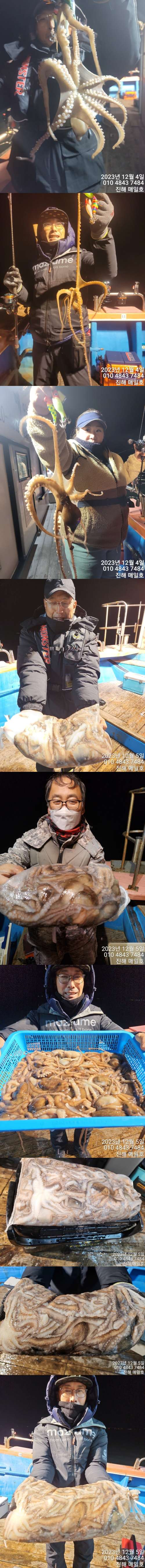 낙지1.jpg
