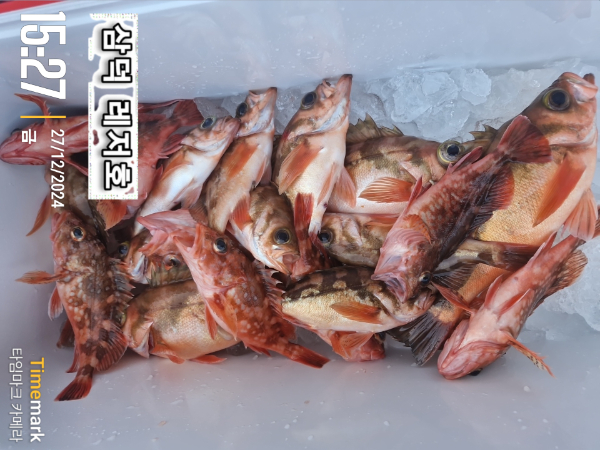 2024-12-27 15.27.53_대한민국.jpg