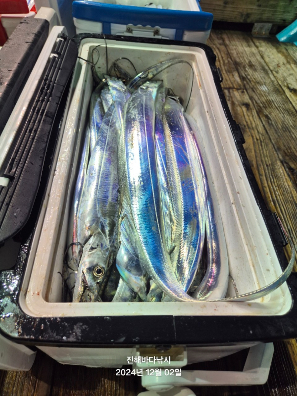 진해바다낚시(신아라호)_사진_20241202_10.jpg