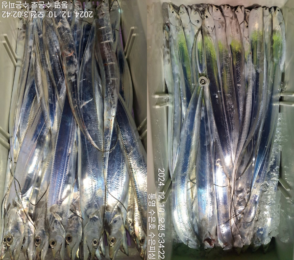 1733776882684-17-tile.jpg