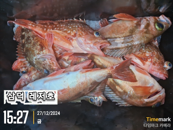 2024-12-27 15.27.32_대한민국.jpg