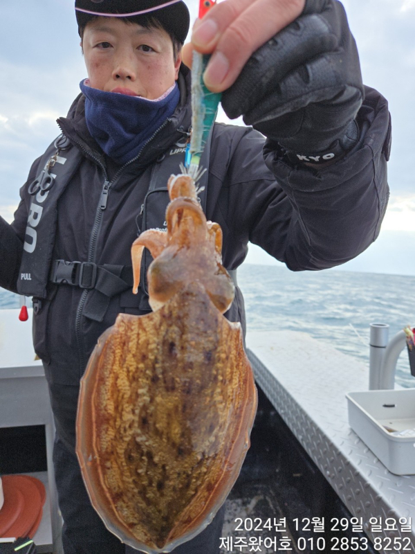 제주왔어호_사진_20241230_16.jpg