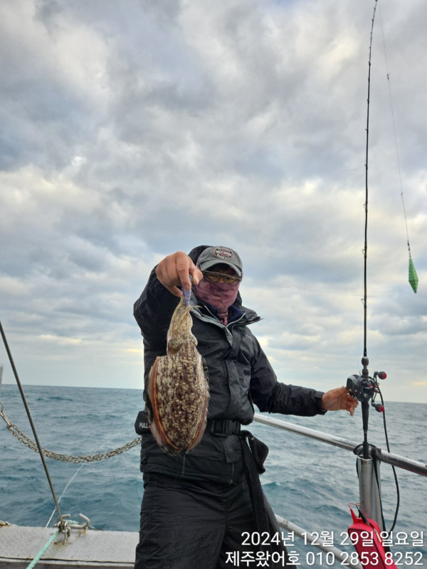 제주왔어호_사진_20241230_18.jpg