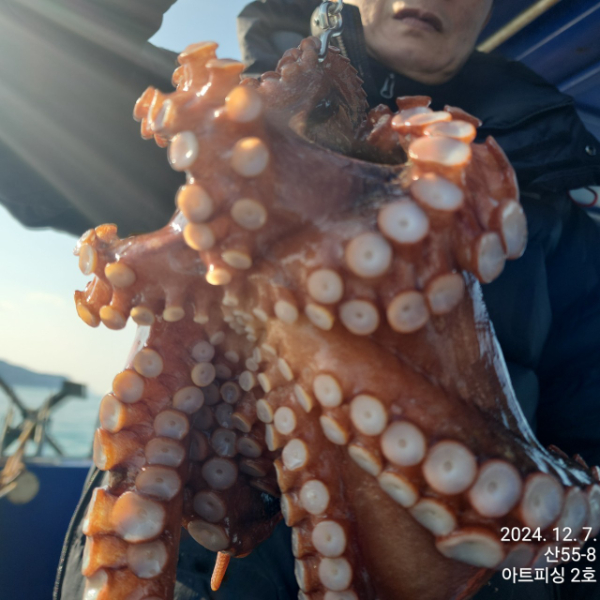 통영 전투낚시_사진_20241207_11.jpg