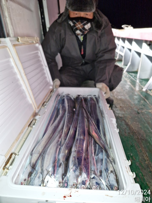 1733805120818-8.jpg
