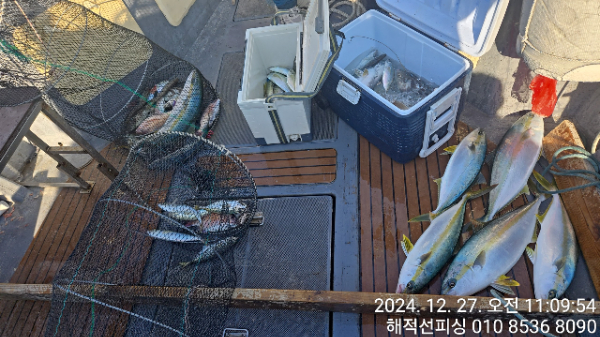1000041038.jpg