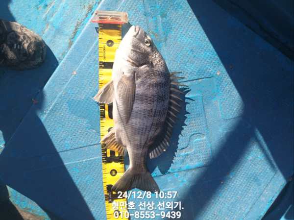 30d3d8b6e2bc74eddf022028f61de6b6.jpg