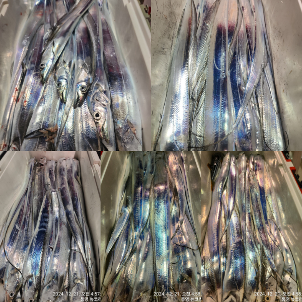 1000059429.jpg