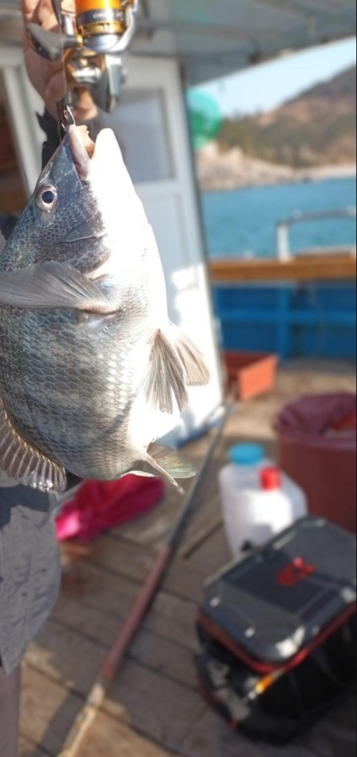 스크린샷 2024-12-24 114031.png