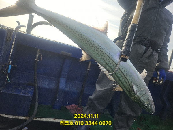 KakaoTalk_20241211_152124068_19.jpg