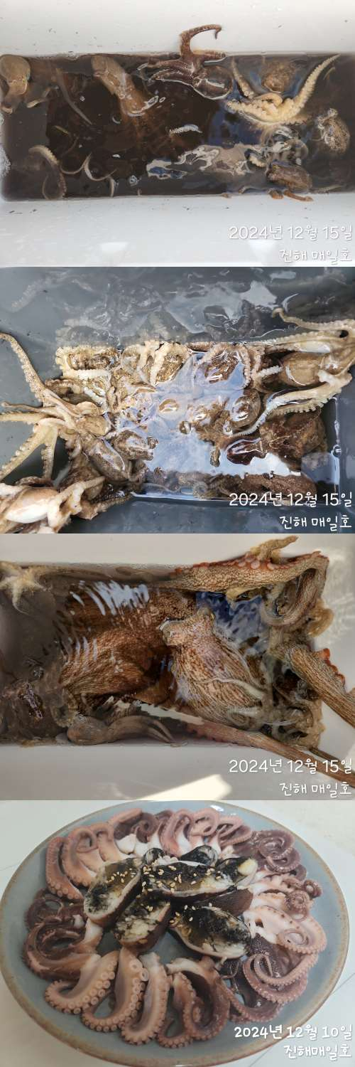 주꾸미3333.jpg