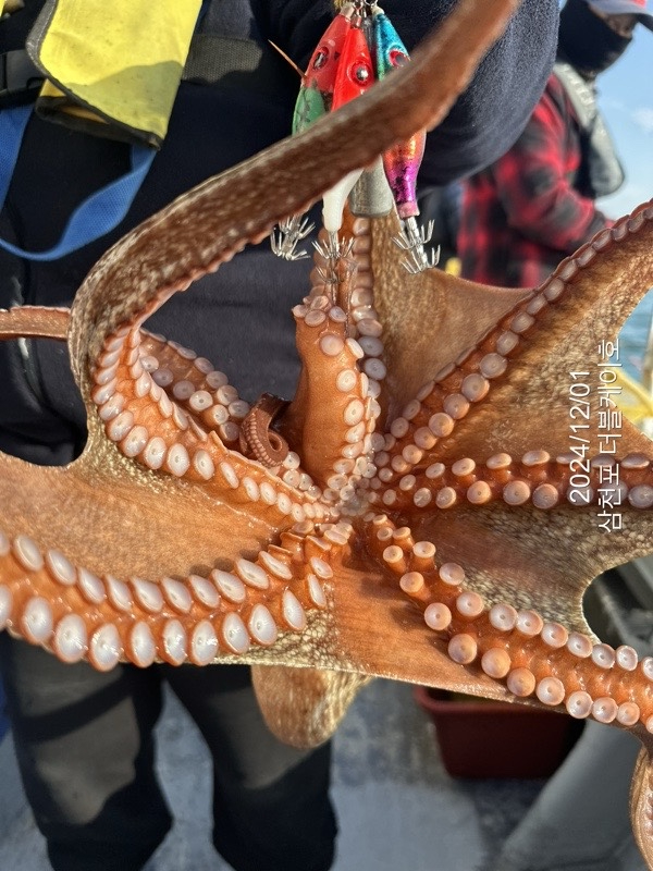 KakaoTalk_20241201_092952823.jpg