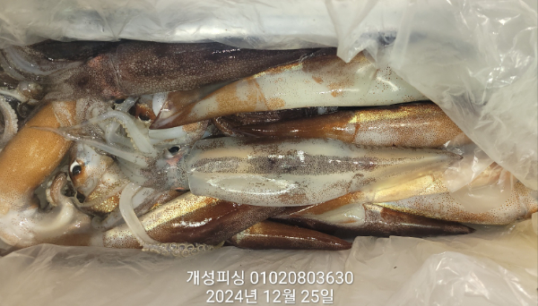 478ab60b8b86a57f40cf0222a87d9df0.jpg