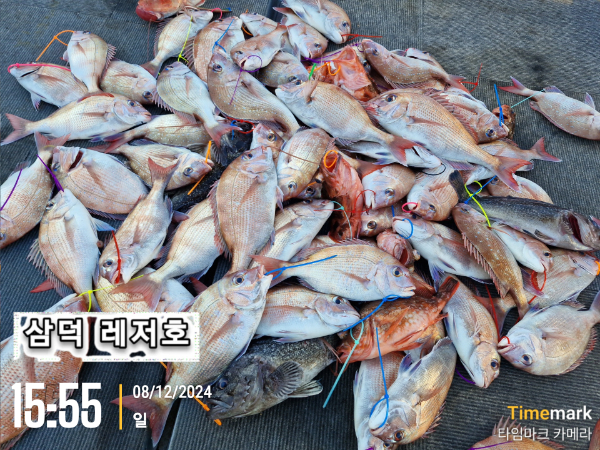 2024-12-08 15.55.50_23-8, 욕지면.jpg