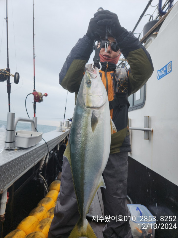 제주왔어호_사진_20241214_5.jpg