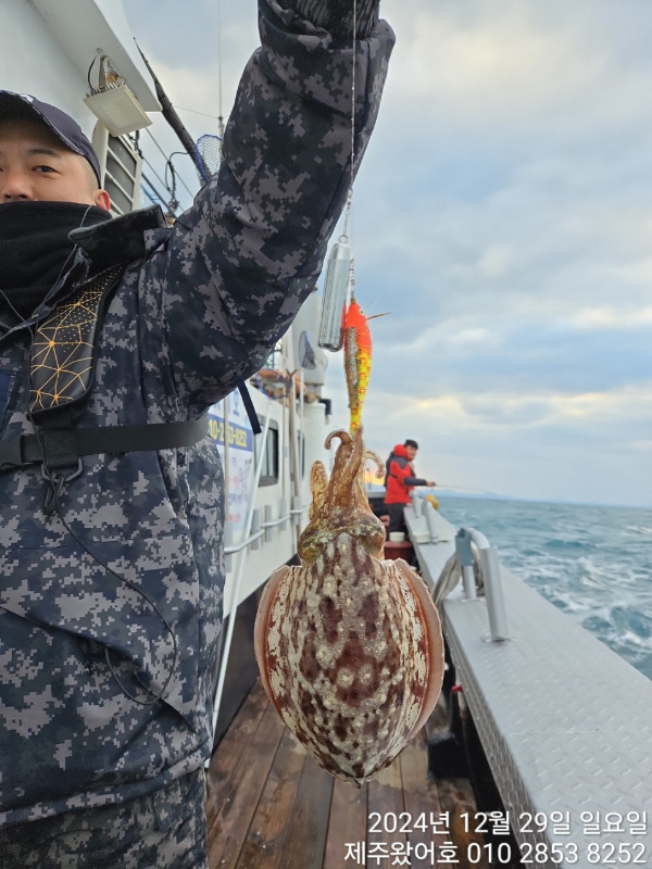 제주왔어호_사진_20241230_14.jpg