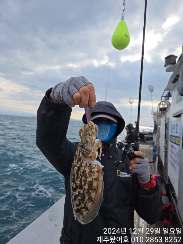 제주왔어호_사진_20241230_17.jpg