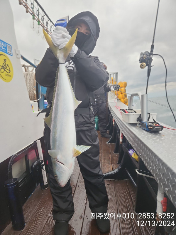 제주왔어호_사진_20241214_6.jpg