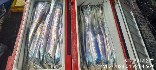 1000032644.jpg