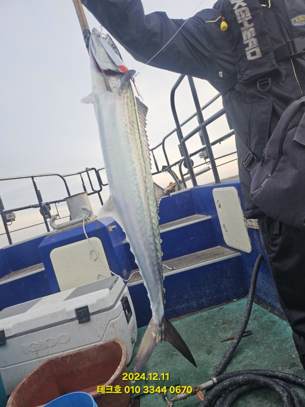 KakaoTalk_20241211_152124068_15.jpg