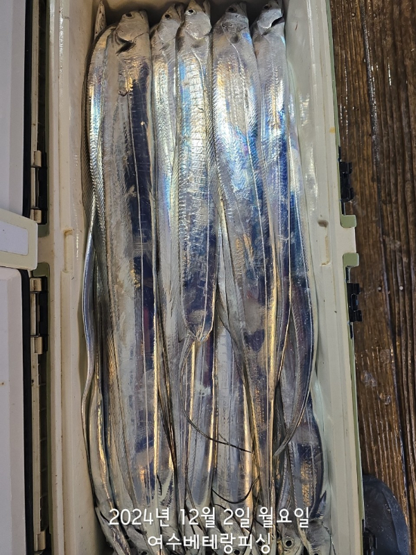 1000037074.jpg