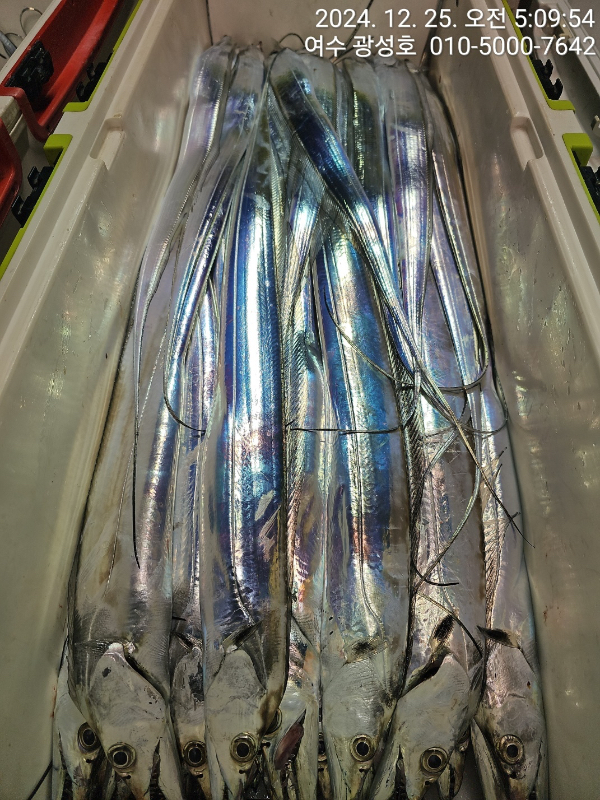 64d152003ac6ac50760d1ff9815cae6e.jpeg