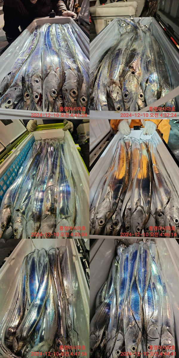 KakaoTalk_20241210_065121928_05-tile.jpg