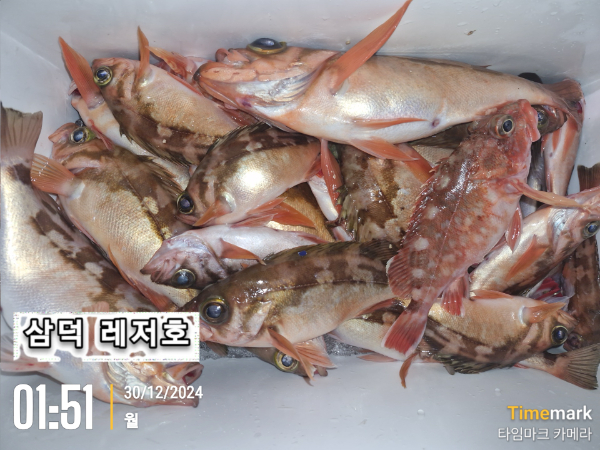 2024-12-30 01.52.08_대한민국.jpg