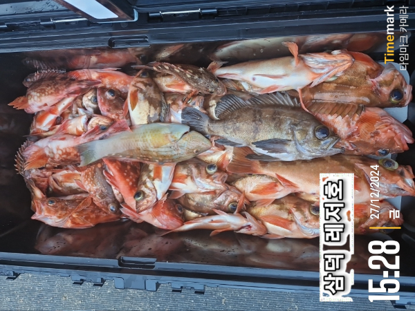 2024-12-27 15.28.07_대한민국.jpg