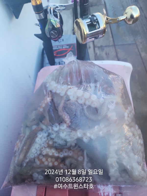 1000071540.jpg