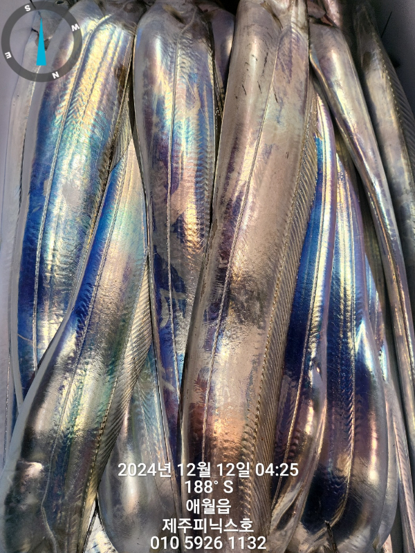 KakaoTalk_20241212_083502545.jpg