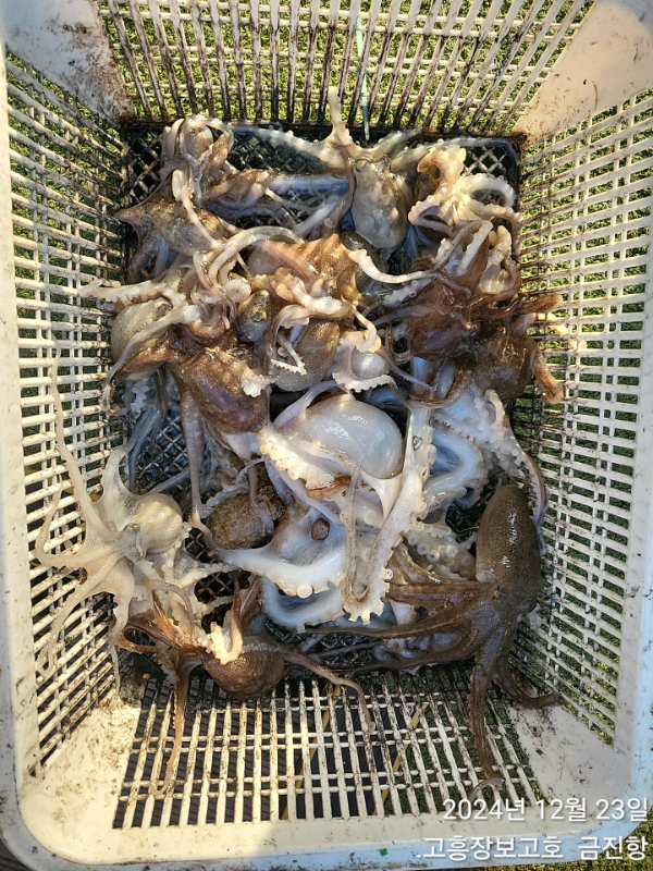 1000017300.jpg